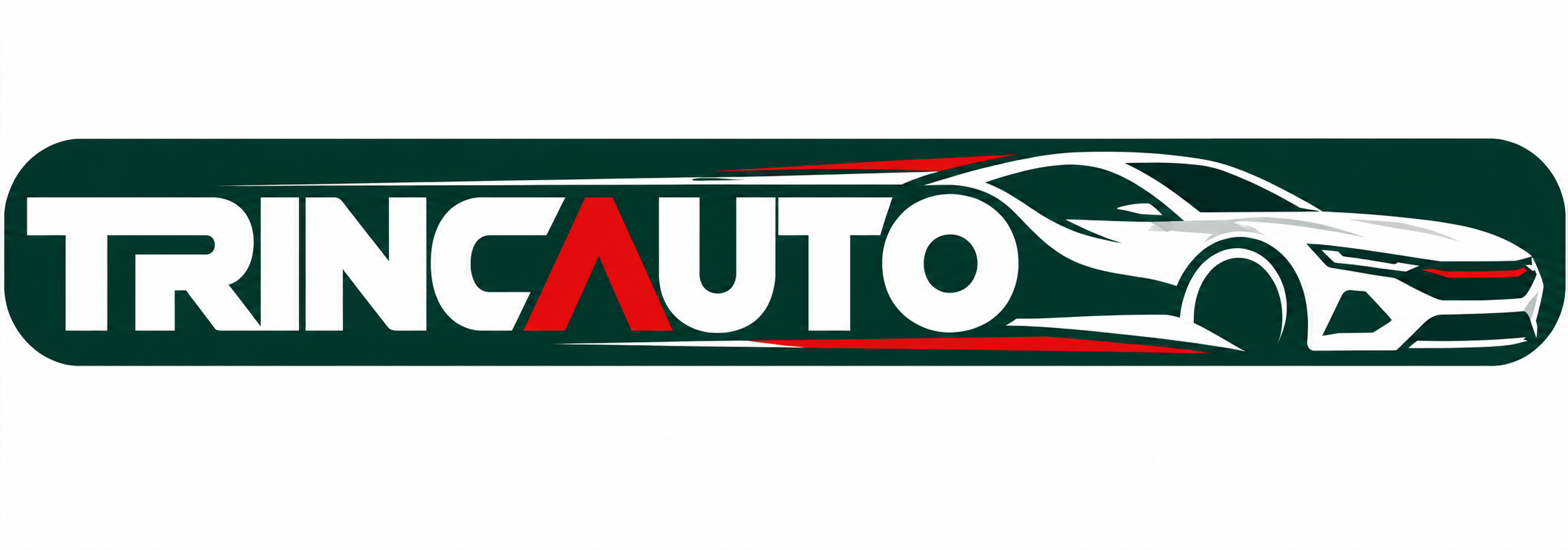 TRINCAUTO con el coche integrado